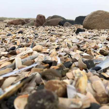 Luxury Retreat - By Traum 度假居 布拉万德