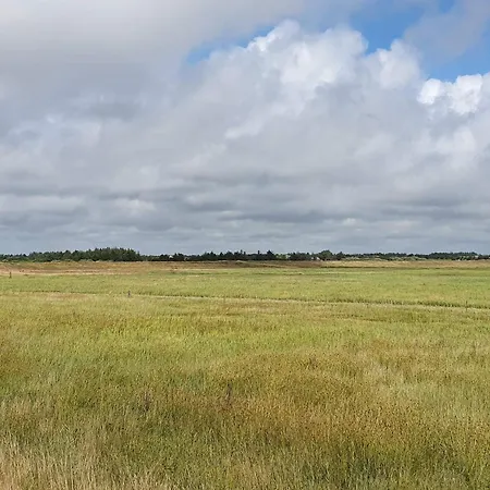 5 Star In * Blåvand