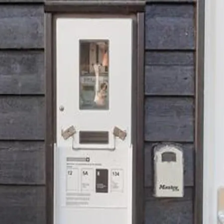 5 Star In